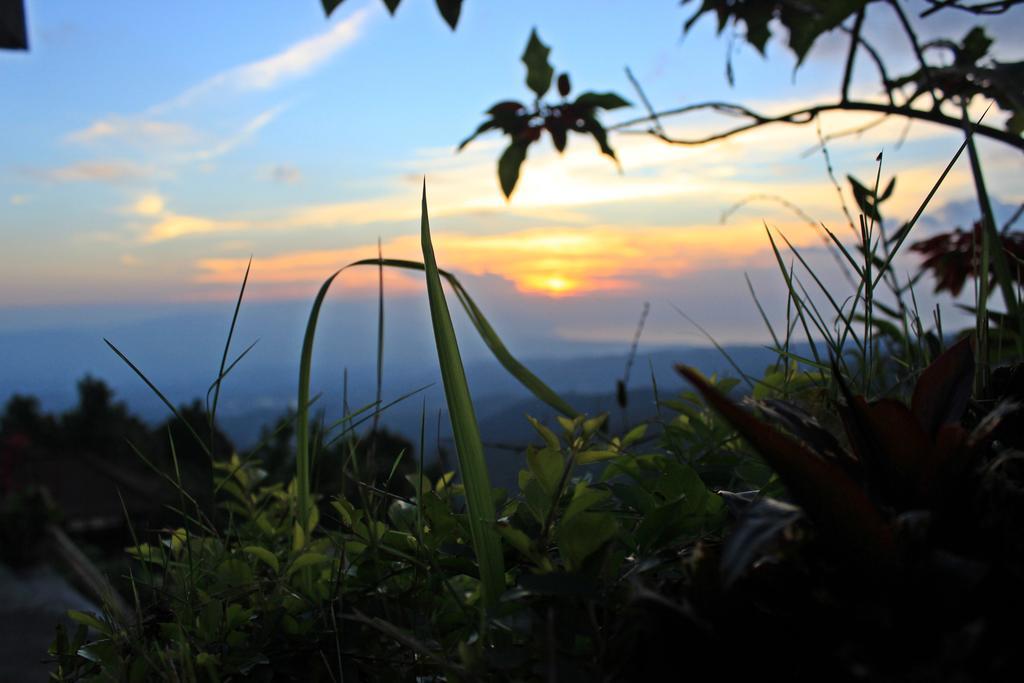 Aryautama Garden Villa Munduk Esterno foto