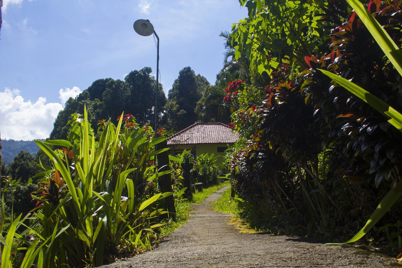Aryautama Garden Villa Munduk Esterno foto