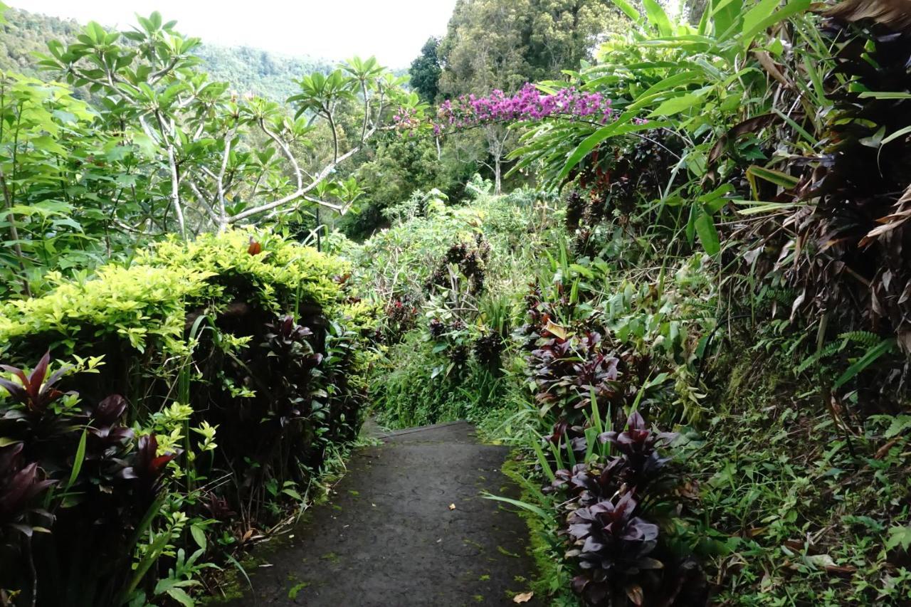 Aryautama Garden Villa Munduk Esterno foto