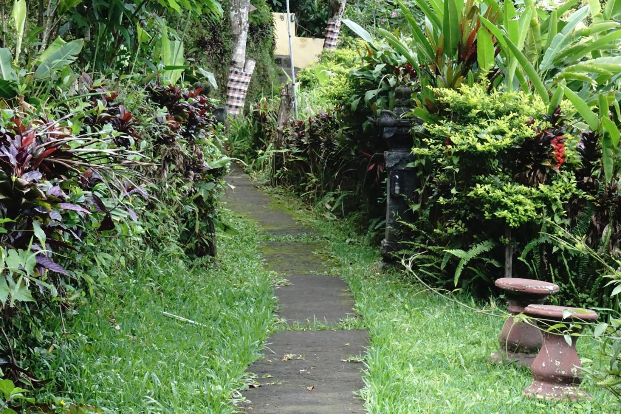 Aryautama Garden Villa Munduk Esterno foto