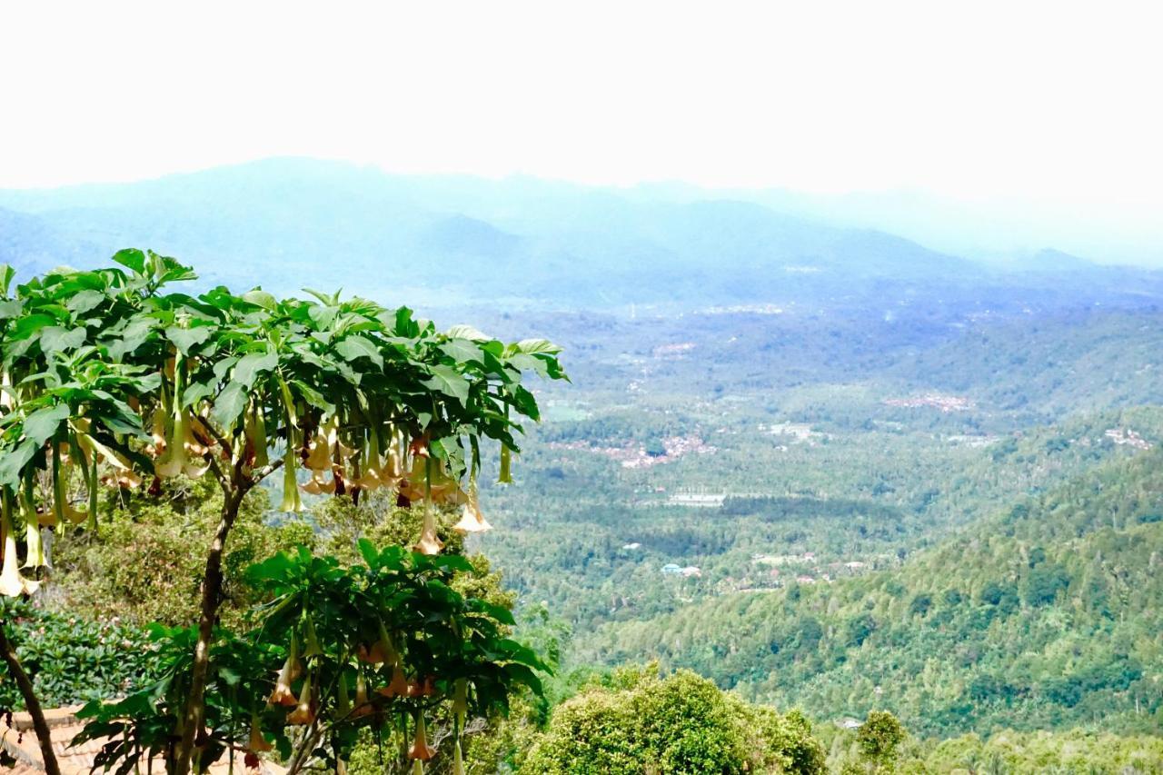 Aryautama Garden Villa Munduk Esterno foto